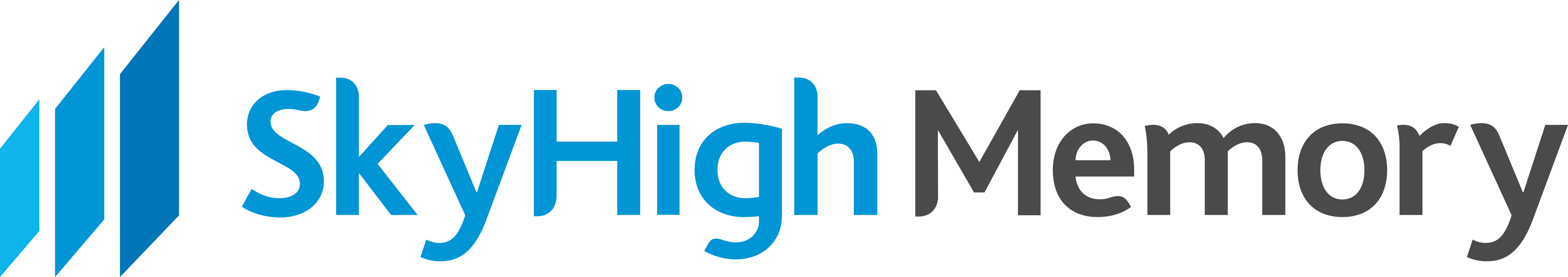 SkyHigh Memory Limited LOGO